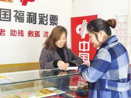 探索新彩票走势图专业版网，解锁数字游戏中的智慧与策略