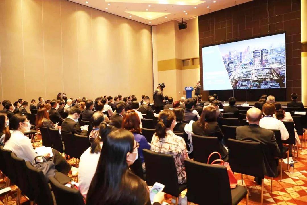 澳门论坛内部正版资料，知识共享与版权保护的和谐共舞澳门论坛最大论坛