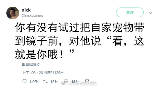 女人害羞的谜语,解开性别刻板印象下的细腻情感女人害羞的词