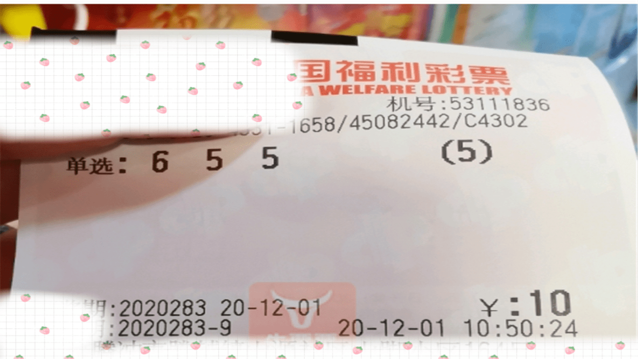 3D彩票开奖结果2019年第45期，揭秘数字背后的幸运与希望3d开奖结果查询2021238期