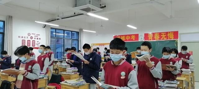 免费公开的二四六资料大全，解锁知识与信息的宝库二四六免费资料大全每期文字资料
