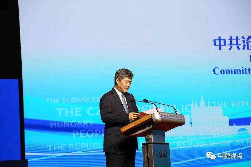 捷克论坛最新网址，探索与交流的数字桥梁捷克论坛大陆ip 2020