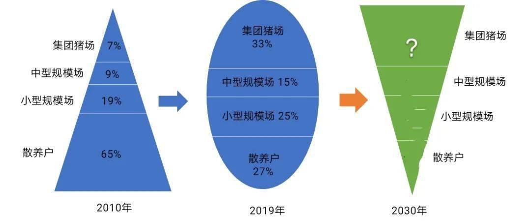 2036年管家婆精准预测，免费大全的未来展望与理性思考2023管家婆精准免费大全绿波