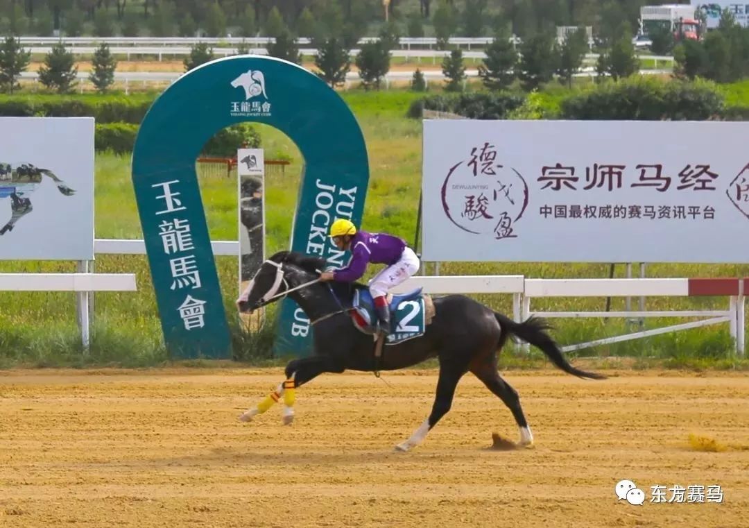 2019正版马会资料大全，解锁赛场智慧，共享竞彩乐趣正版马会精选资料大全+新闻
