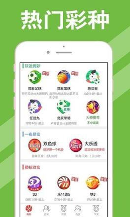澳门今期开奖结果查询，揭秘新澳门的幸运时刻新澳门今期开奖结果查询网页