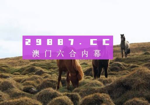 澳门彩市，2035年展望与今晚开奖的神秘面纱2023澳门今晚开什么详情