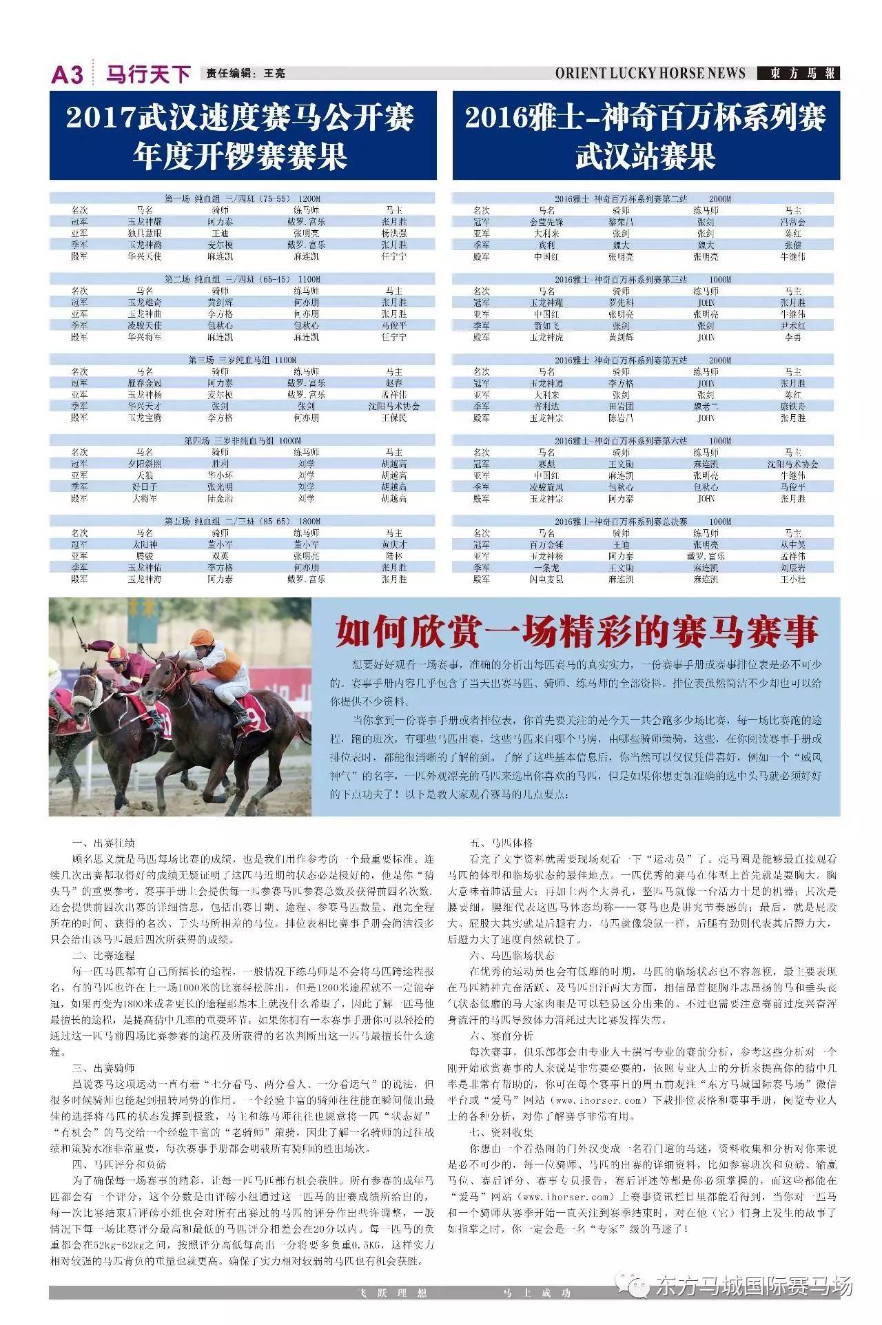 2019年马会正版资料，全面解析与未来展望2019年马会正版幽默