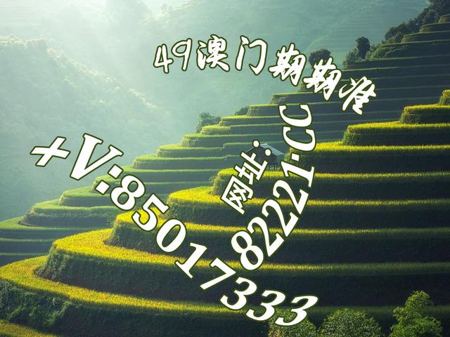 波肖门尾，彩色图库中的城市记忆与文化探索波肖门尾大型图库
