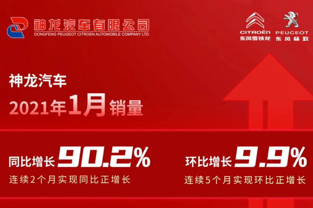 2046年,管家婆的马资料—未来赛场上的智慧之选管家婆24马精选