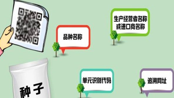 管家婆一码与白蛇图坛，传统智慧在现代的融合