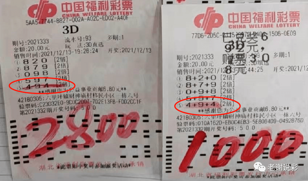 探索3D彩票的奇妙世界，从试机号到开奖结果的全面解析3d开机号试机号30期开奖结果查询100