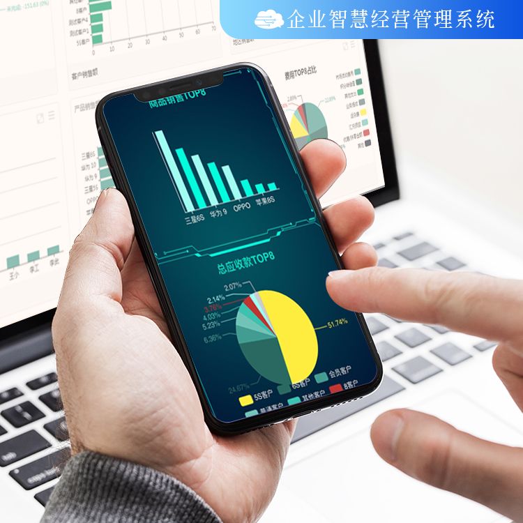 管家婆全年资料,企业运营的智慧之眼管家婆2021