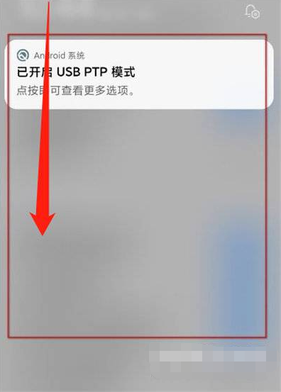 澳门彩，49个数字中的精准艺术4949精准澳门彩最准确的资料澳4444