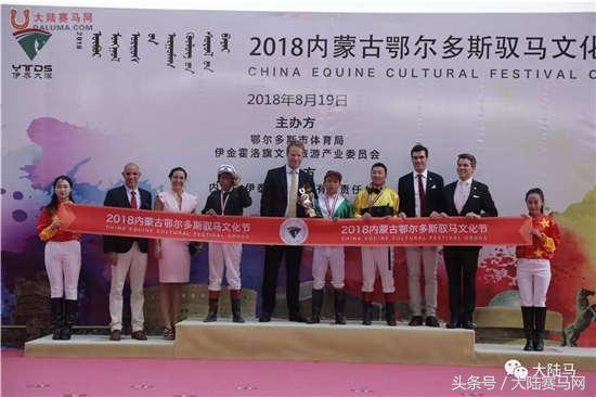 蓝月亮马会精选资料大全，解锁赛马的智慧与魅力蓝月亮马会精选资料大全快