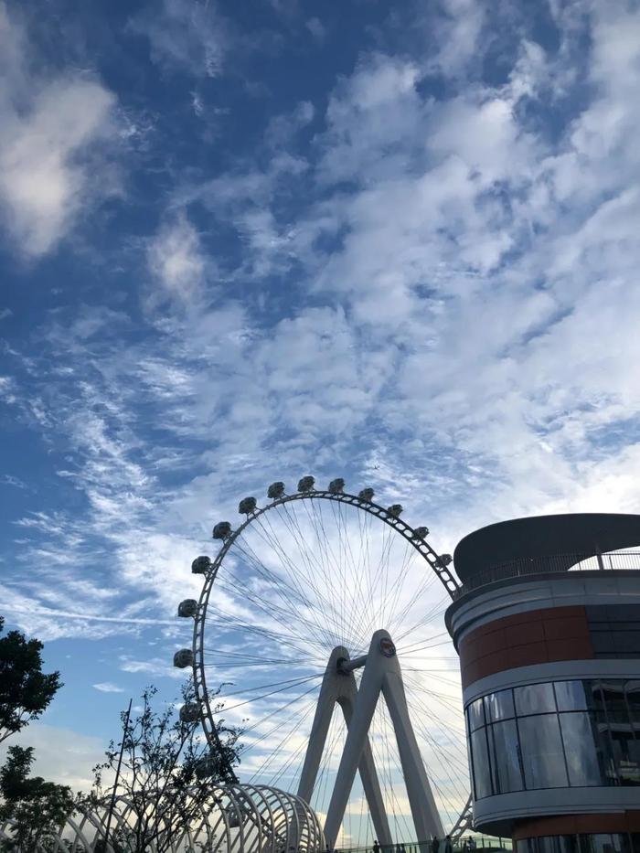 摩天轮社区论坛,互联网时代的温馨港湾摩天轮社区出品必属论坛