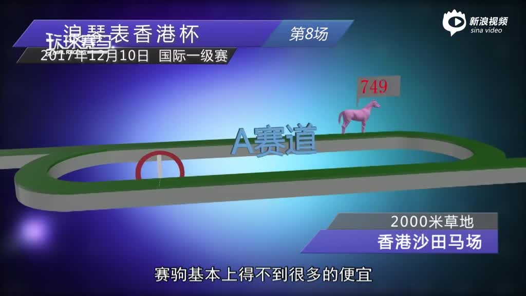 2019年香港开奖记录与精彩回顾2019香港开奖现场开奖记录
