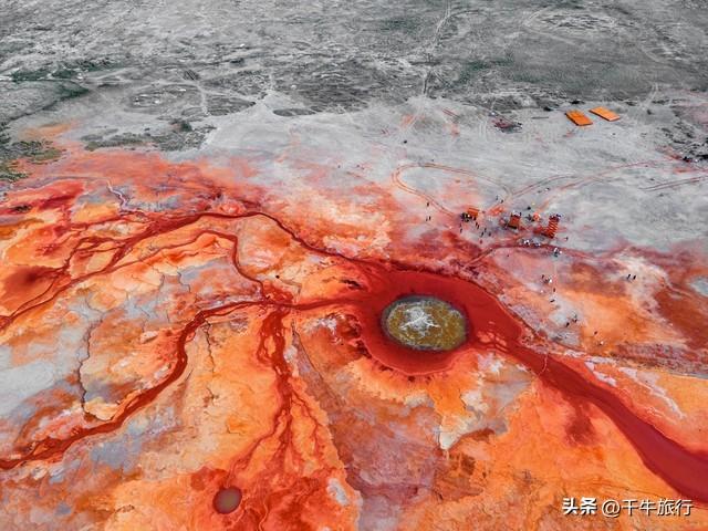 今日奇观，揭秘今天必中四不像图的神秘面纱今天必中四不像图 正版