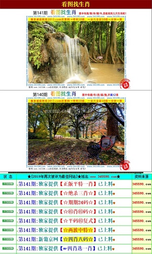 澳门王中王的六码与生肖之谜，一场文化、历史和数字的交织澳门王中王六码六肖查看
