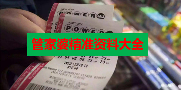 管家婆精准资料大全软件,高效管理与决策的利器