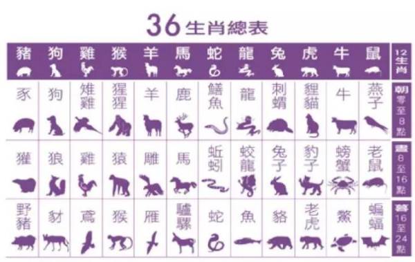 探索一码与生肖的奥秘—揭秘1038准确率的背后一码一肖100准确使用方法十二生肖