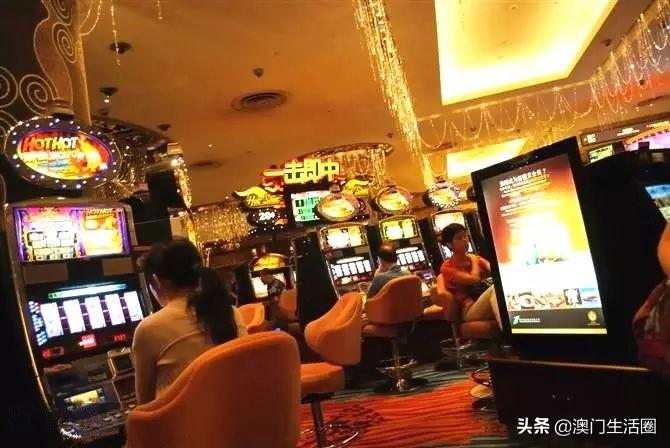 澳门六大博企掌门人名单揭晓，行业新动向与未来展望澳门六大博企掌门人名单公布了吗视频