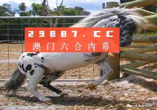澳门六资料12369，揭秘与理性分析
